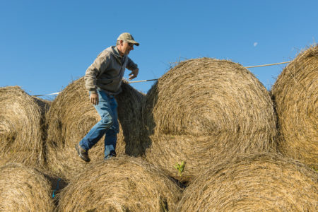 Peace Valley farmer Ken Boon and his wife Arlene lost most of their third generation family farm when the B.C. government expropriated it for the Site C dam.