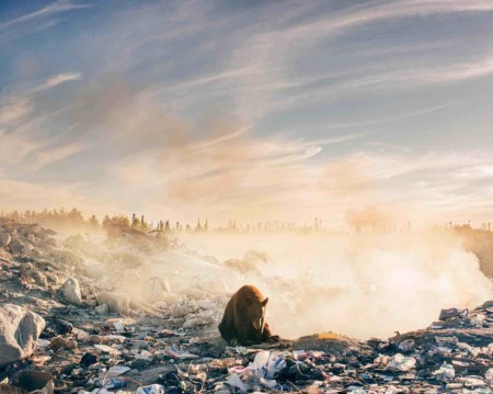 Invisible horseman Troy Moth