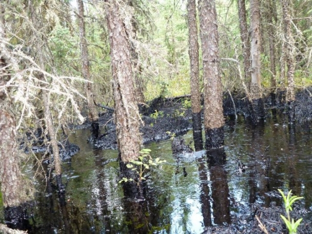cold-lake-oil-spill.jpg