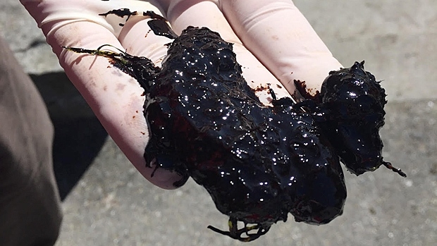 english-bay-oil-spill-1.jpg