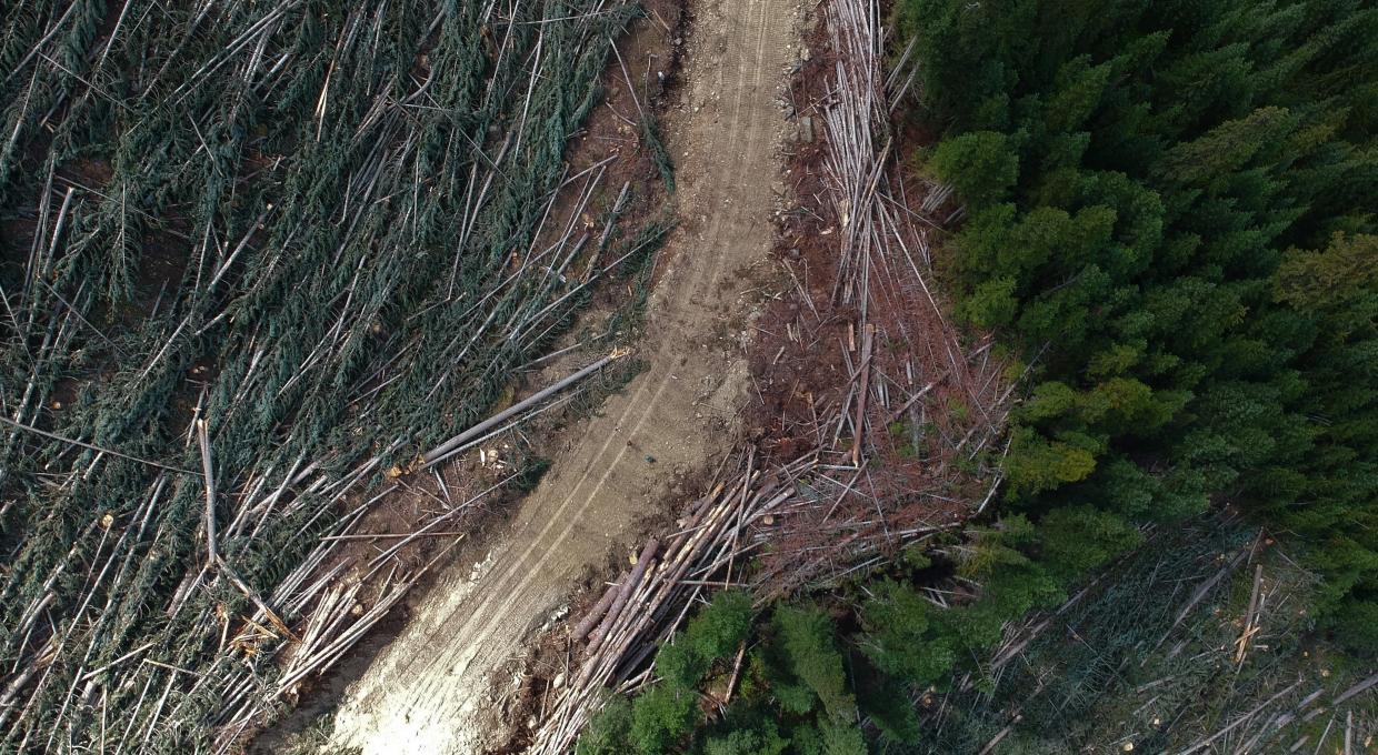 Smitheram Creek Valley logging