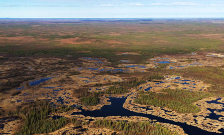 Edéhzhíe Indigenous Protected Area