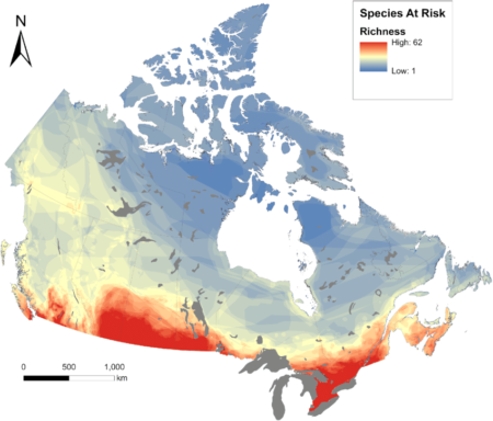 Canada Has Some Of The World’s Last Wild Places. Are We Keeping Our 