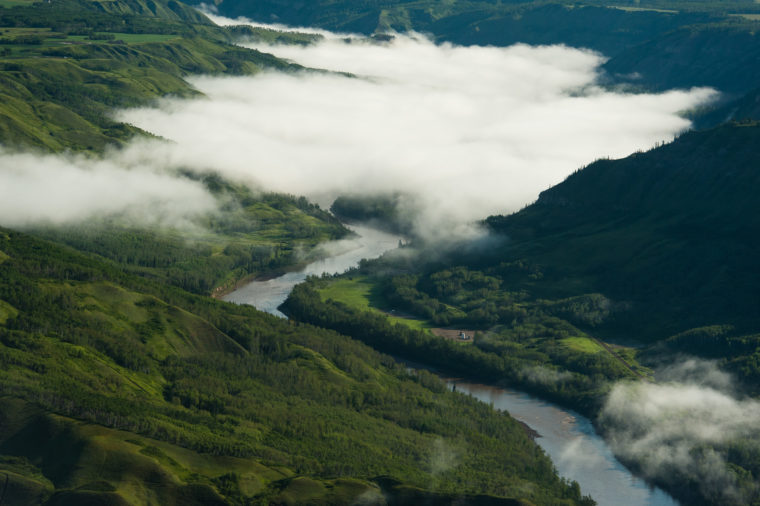 Inside Blueberry River First Nations’ Fight To Repair B.C. Landscape