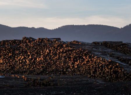 Interfor's lumberyard