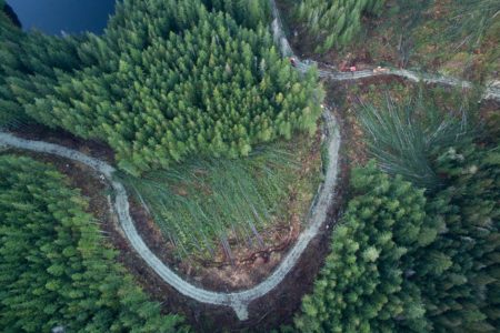 Logging Phillips Arm TimberWest