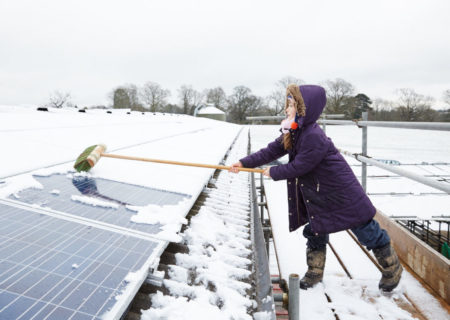 Child sweeps solar panel
