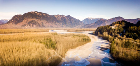 a landscape view of Carey Island with little streams snaking through the grasses, mountains visible in the background