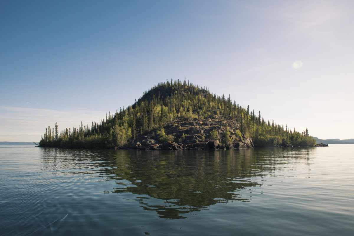 How do we save Canada's boreal forest?