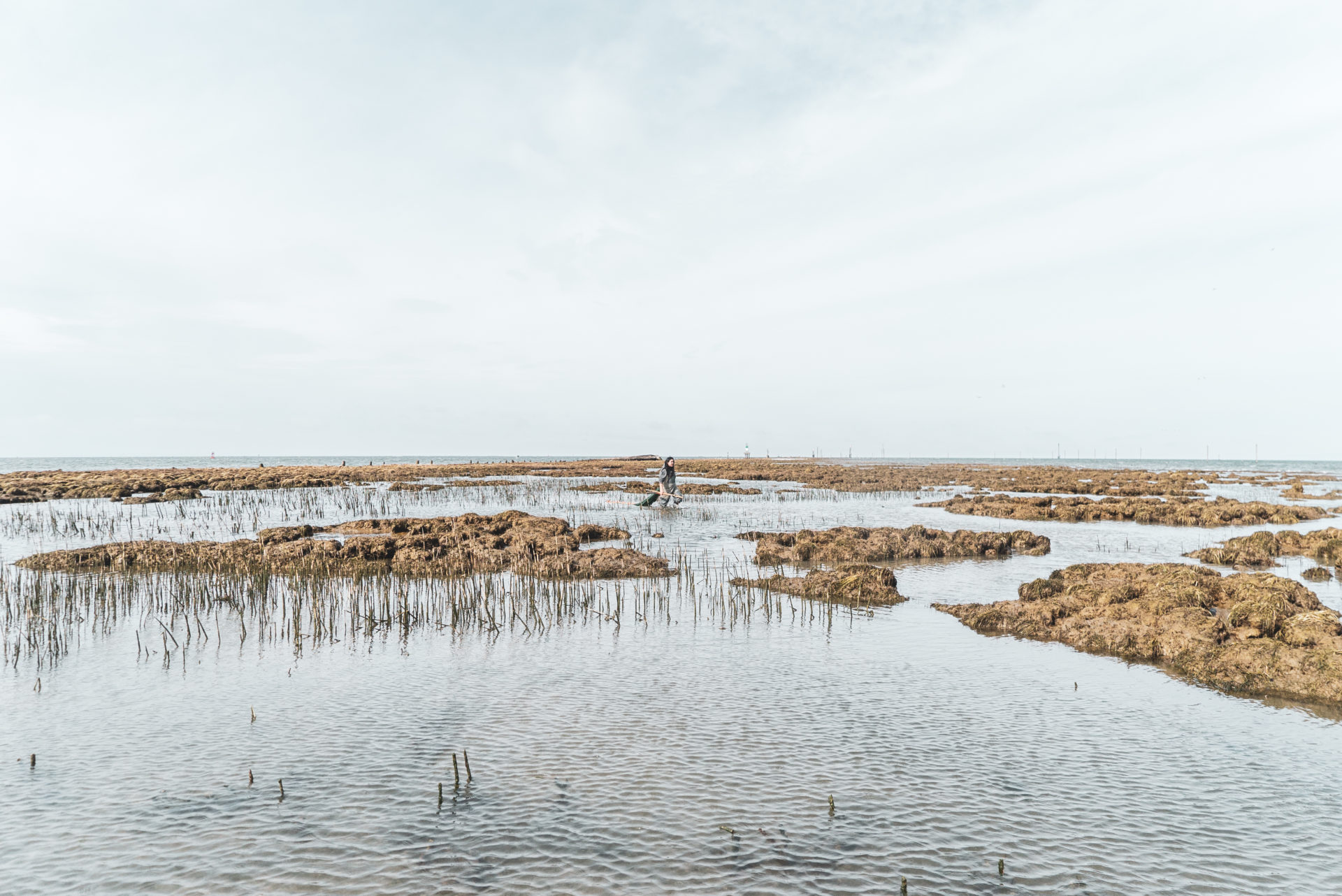 Steveston jetty