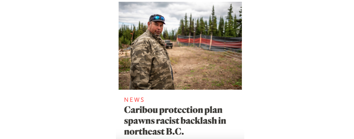 Caribou protection plan spawns racist backlash in northeast B.C.