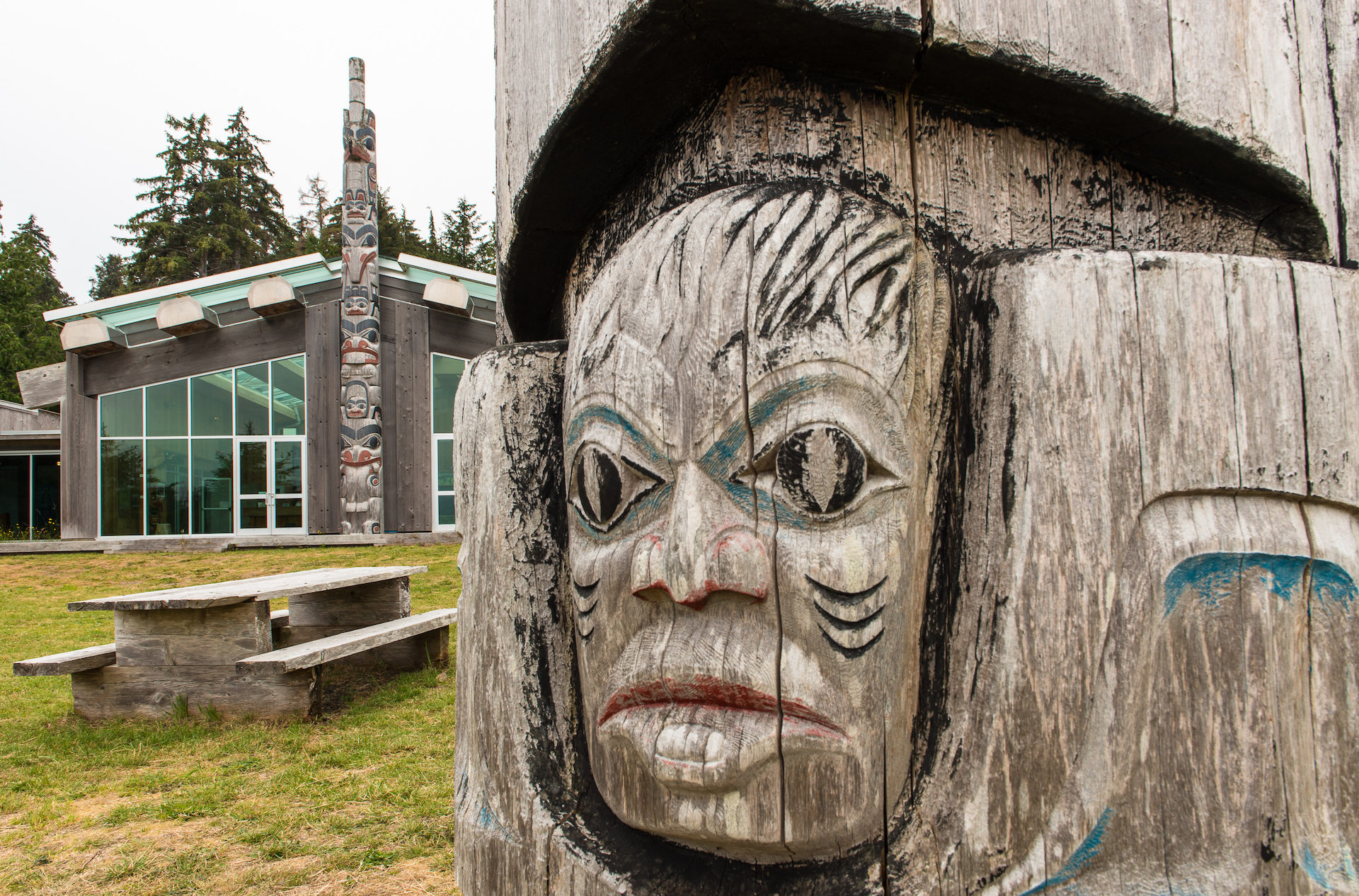 The battle for Haida Gwaii’s cedars | The Narwhal