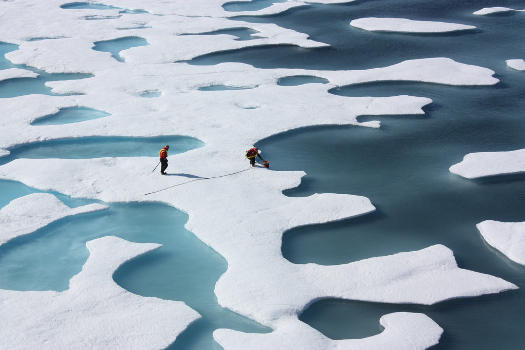 Arctic sea ice freshwater melt