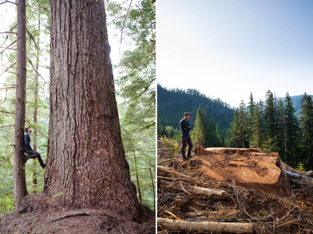 Nahmint logging douglas fir