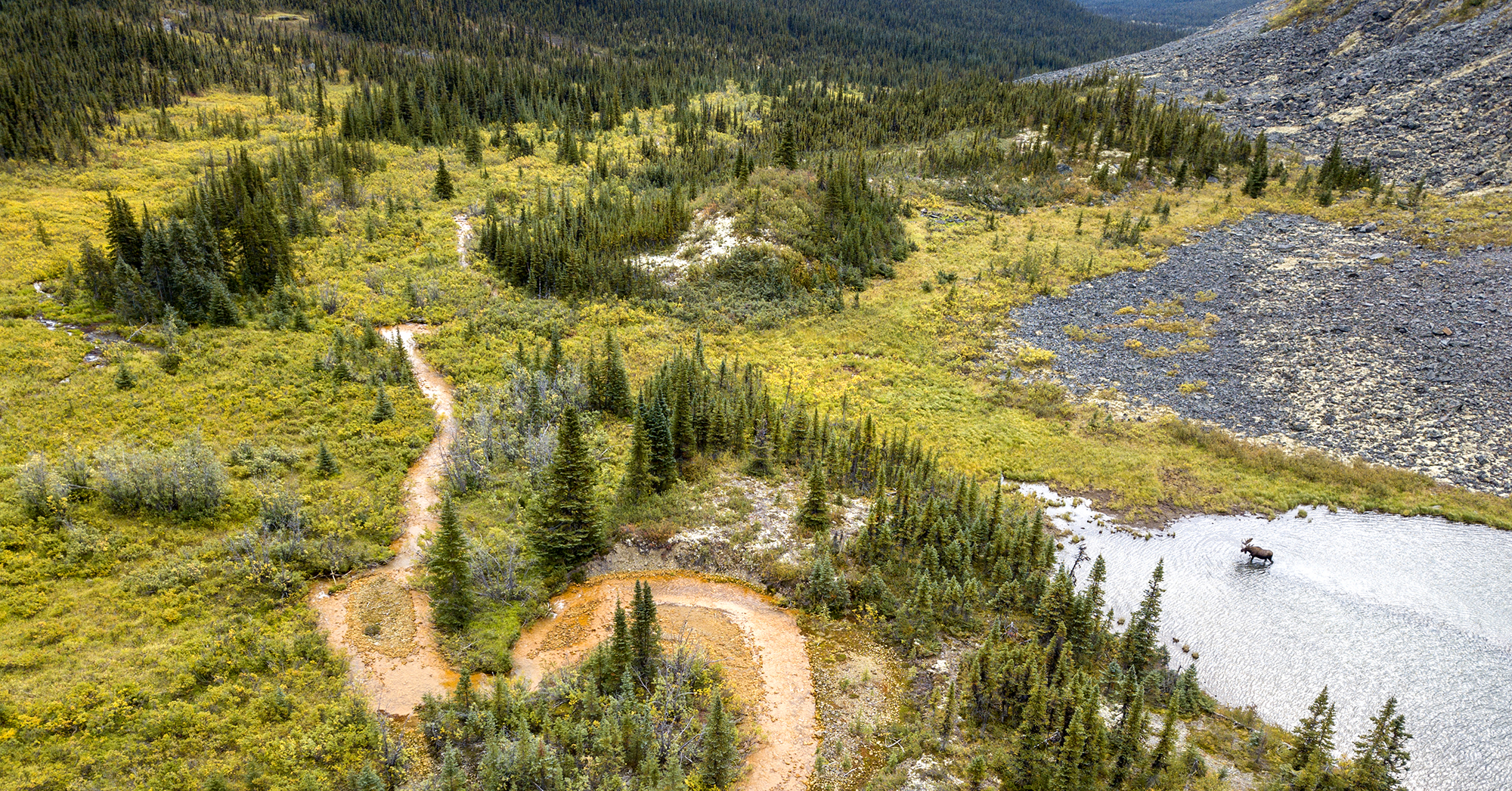 Moose Mount Cameron Beaver River watershed Yukon