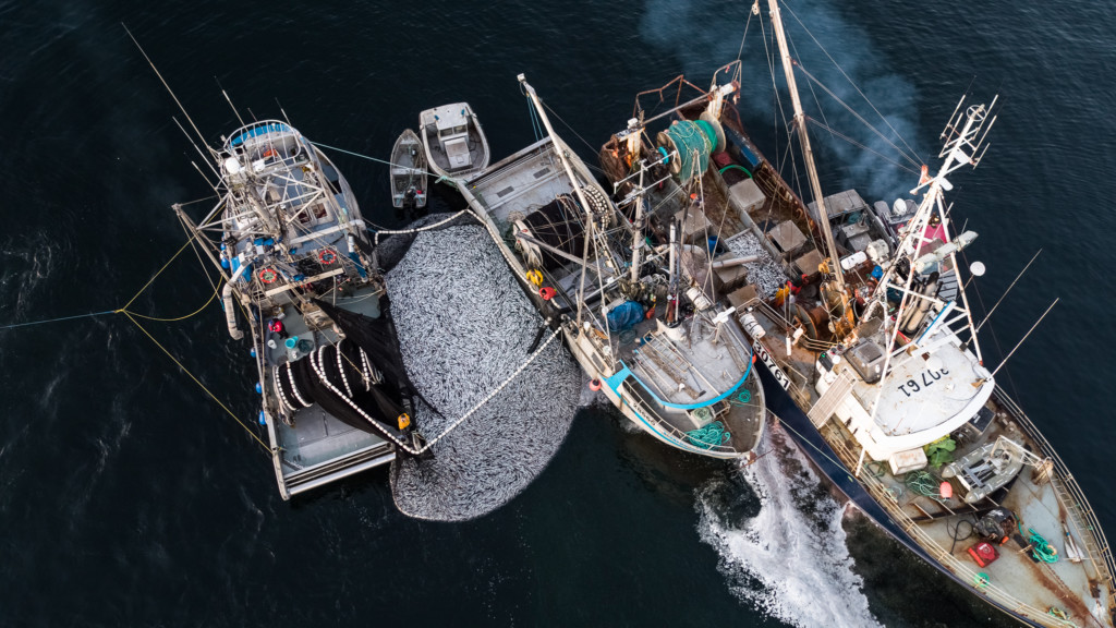 closing-canadian-fisheries-would-help-rebuild-stocks-and-lead-to