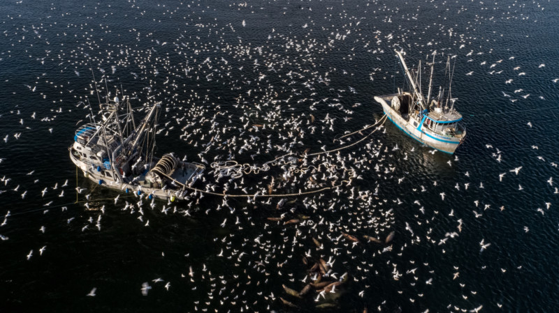 An aerial view of two herring fishing boats in dark water