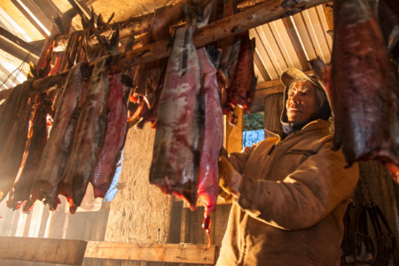 Gwich'in elder James Itsi chum salmon