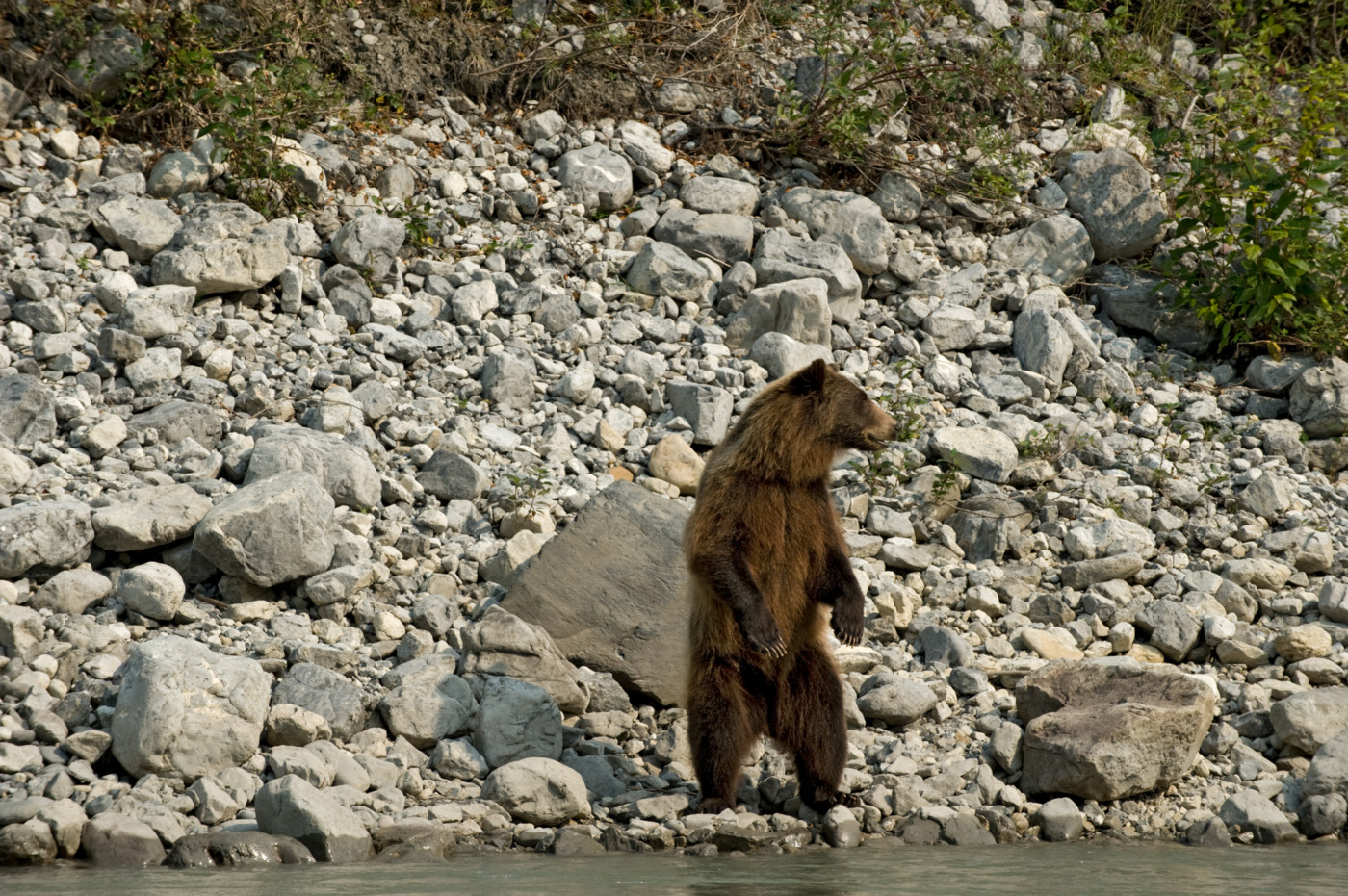 a-mine-in-the-middle-travelling-through-the-nahanni-the-grand-canyon