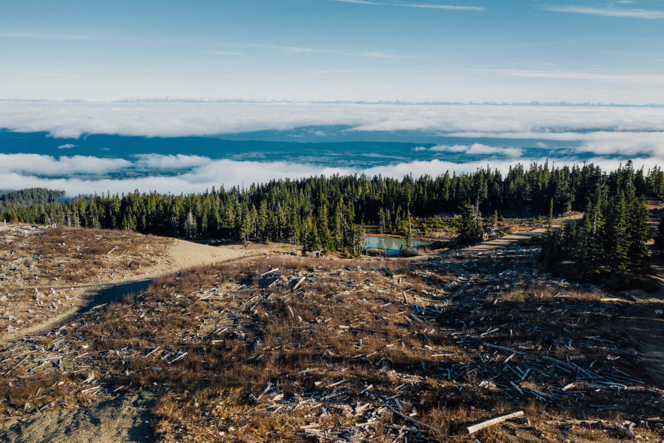 Mount Washington Copper Mine Site 2019