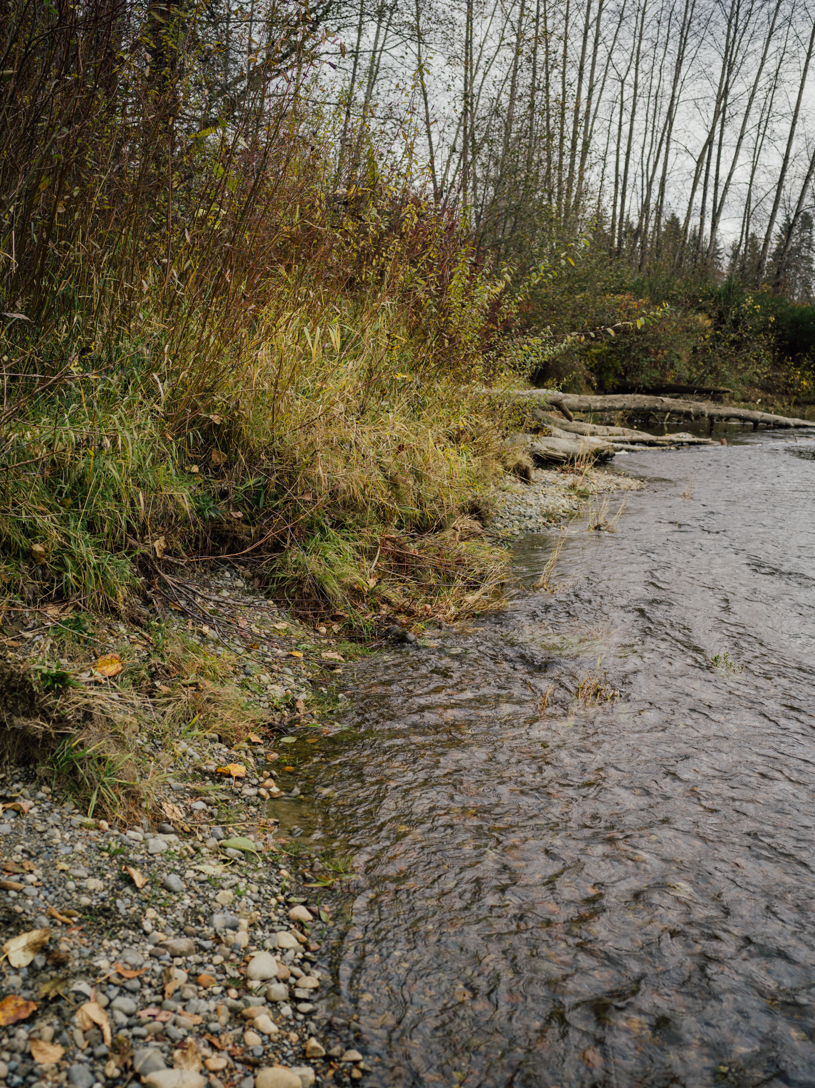 Tsolum River