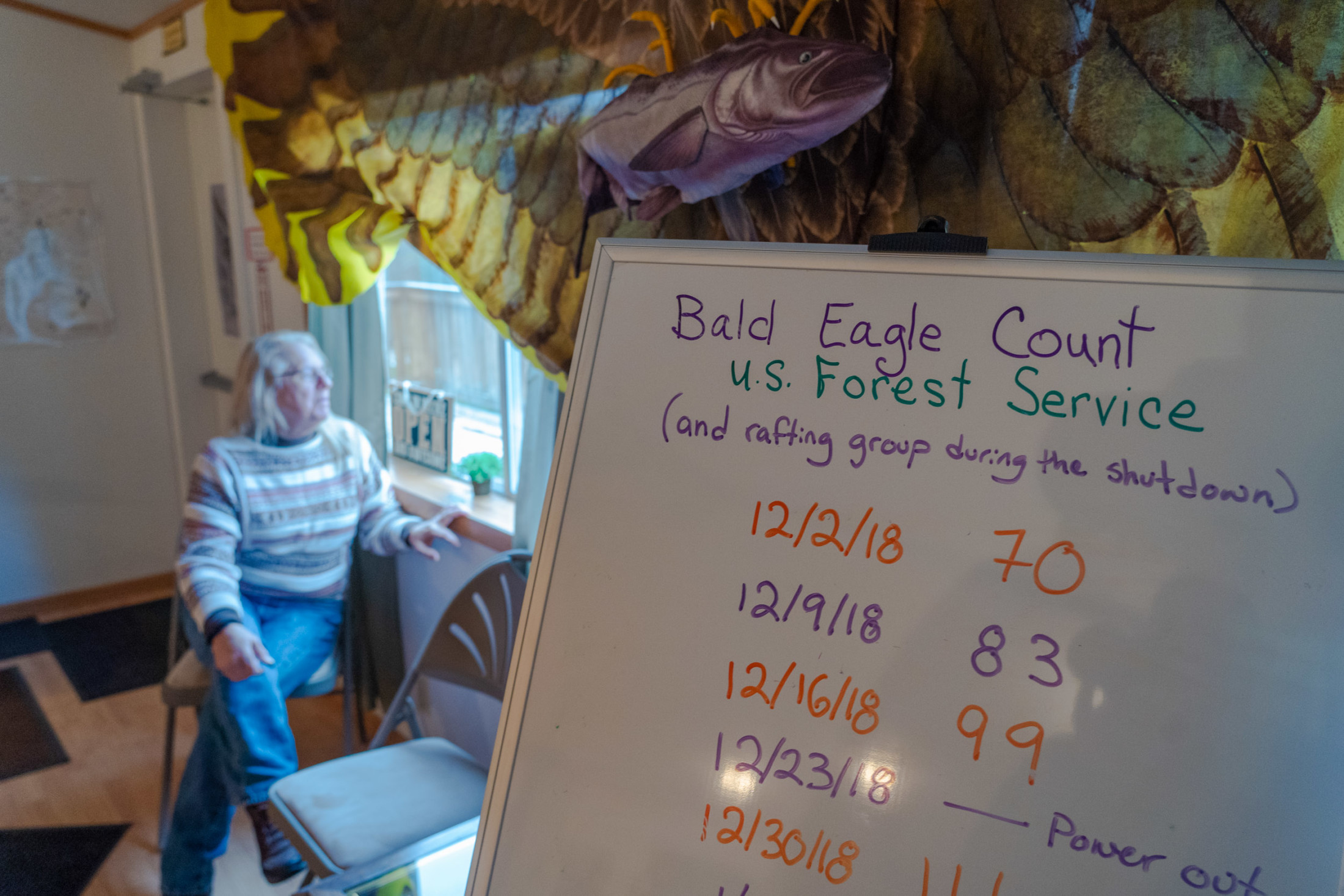 Judy Hemenway, a retired visual artist who coordinates the Skagit Bald Eagle Interpretive Center
