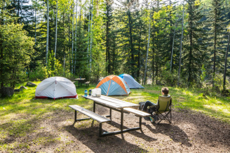 Sheep Creek Provincial Park.