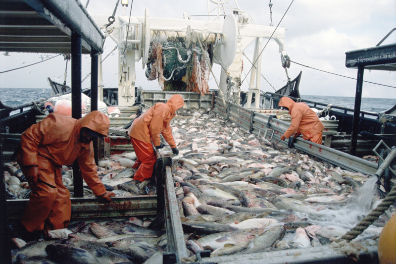 Fishing trawler