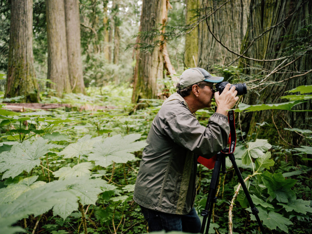Dominick DellaSala The Narwhal Canada's Forgotten Rainforest Taylor Roades