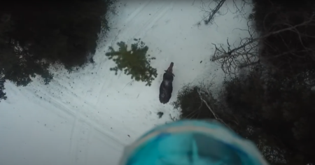 Ghost Moose Drone Eric Becker Winter Tick