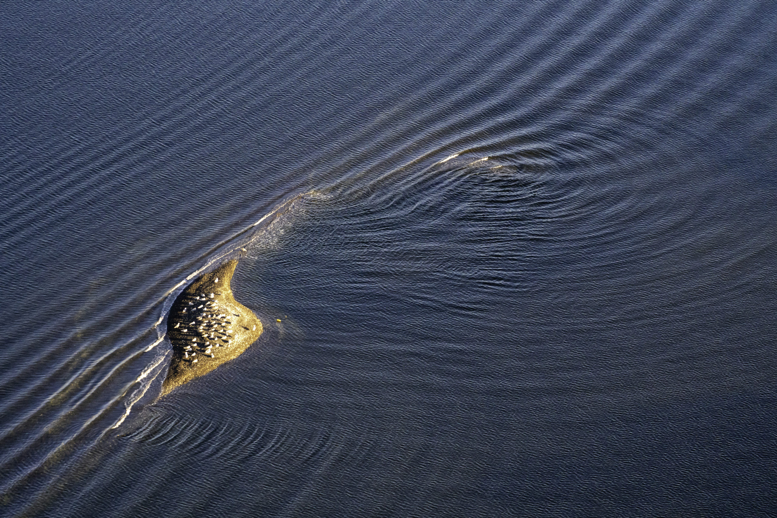 Boundary Bay