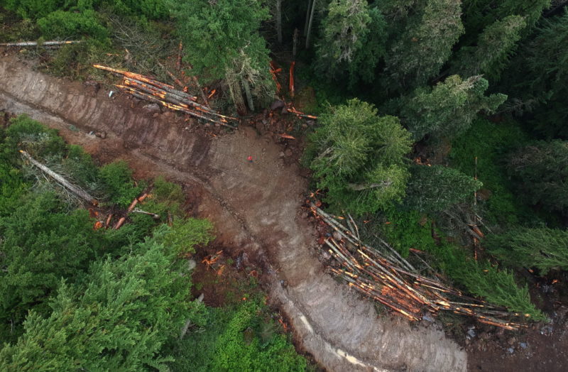 Logging B.C. spotted owl habitat