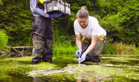 Conservation planning climate change impacts