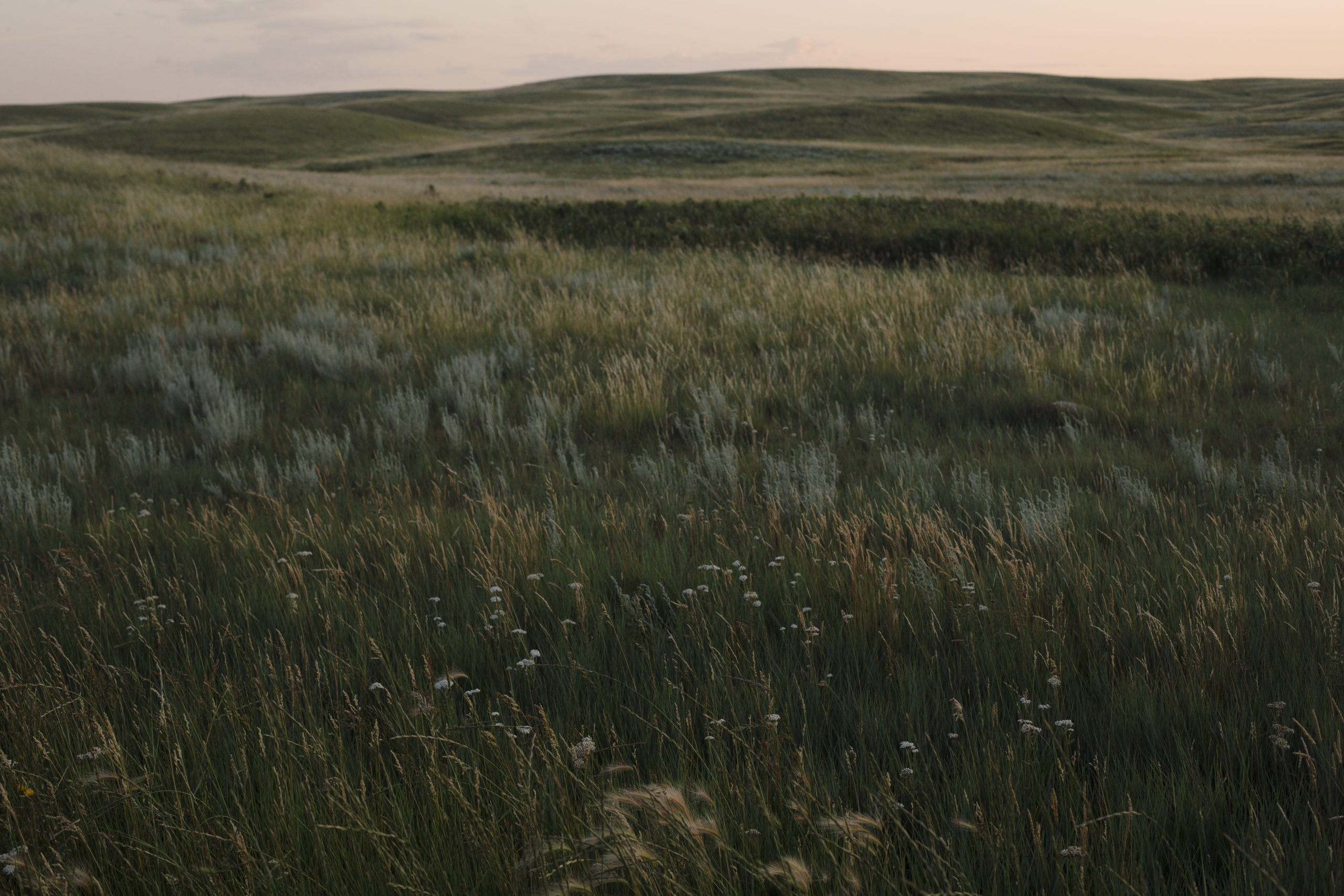 a landscape photo of rolling hills in the grasslands