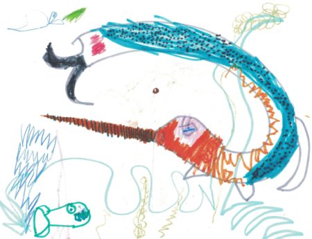 narwhal artwork teddy Fribourg