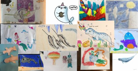 Collage of narwhal art contest submissions