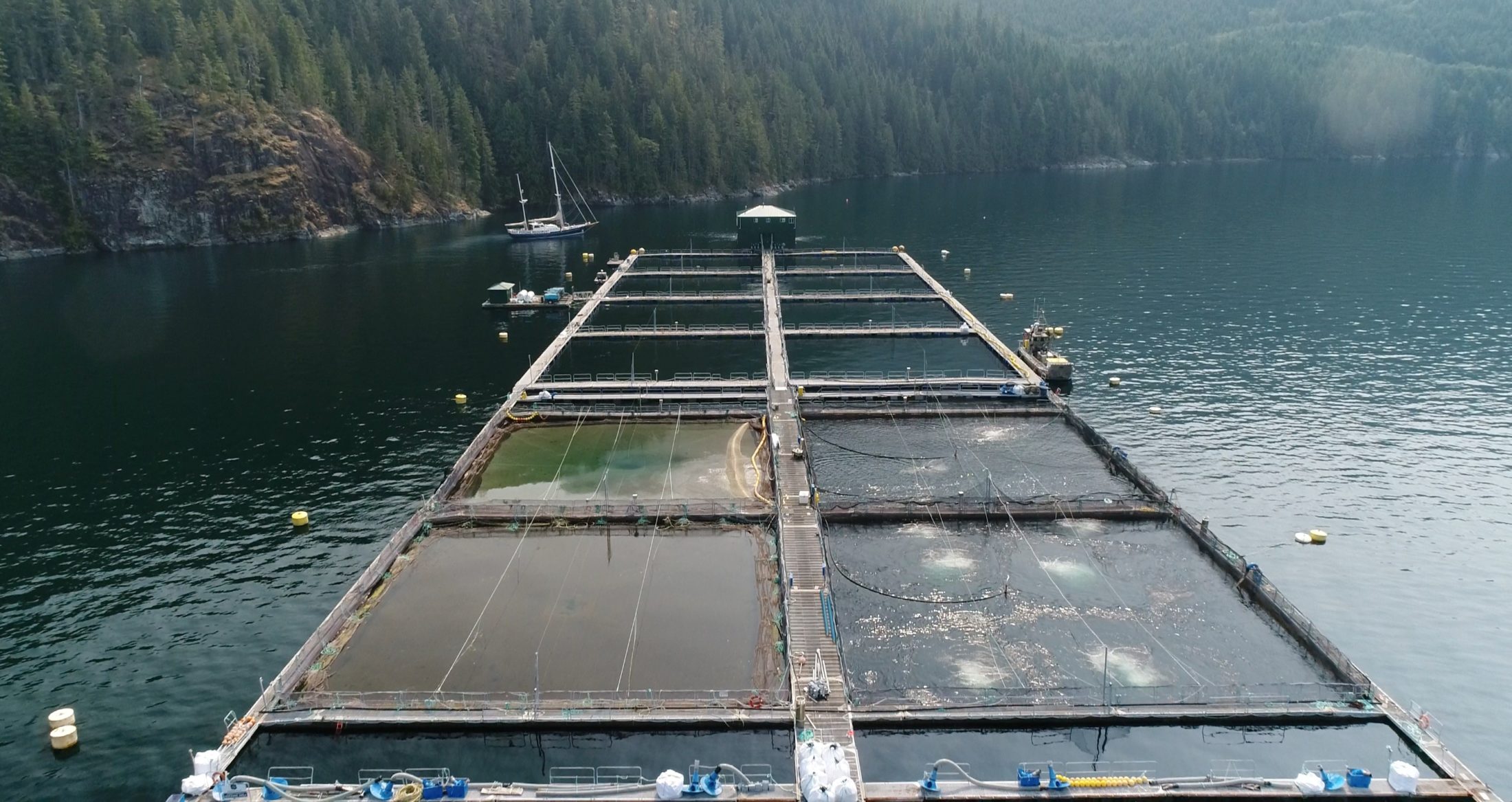 Salmon farm B.C.