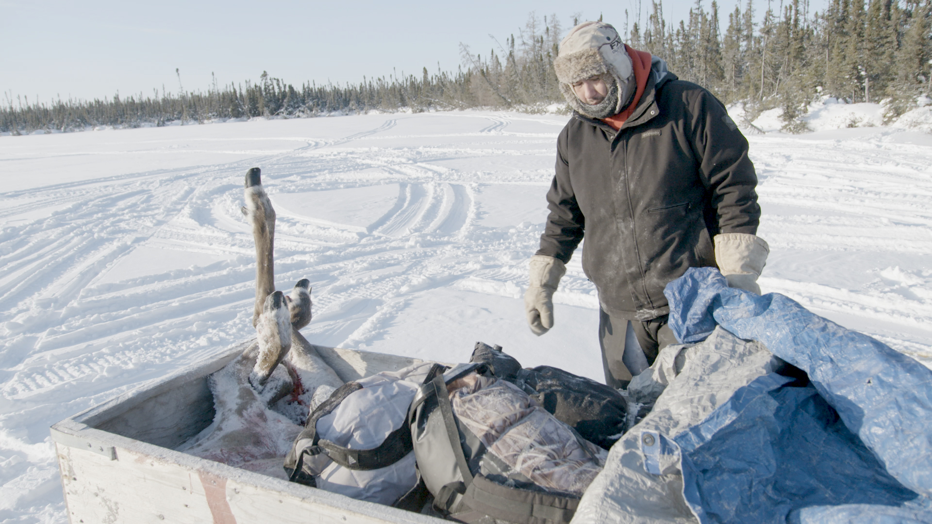 First Nations hunter with caribou