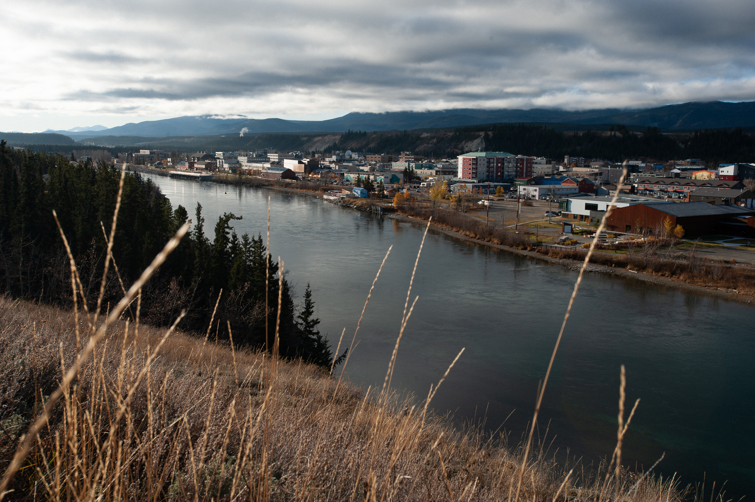 New Year's Eve - City of Whitehorse