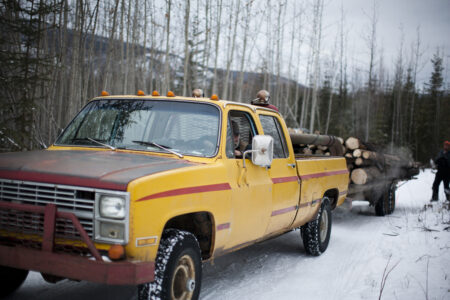 Yukon biomass climate change