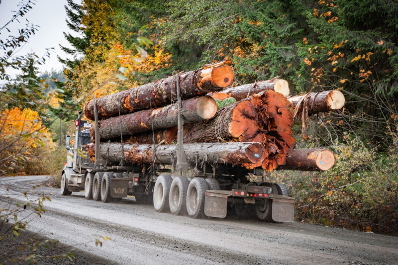 Logging-Truck-Old-Growth-Lake-Cowichan
