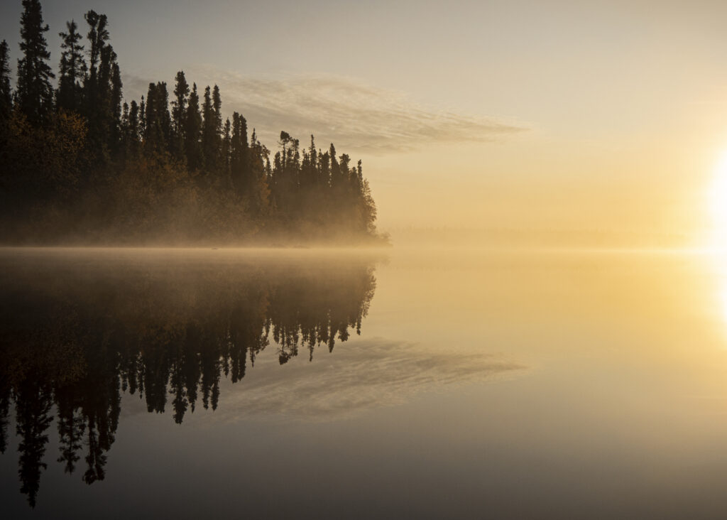 The Last Undammed River Of Manitoba The Narwhal