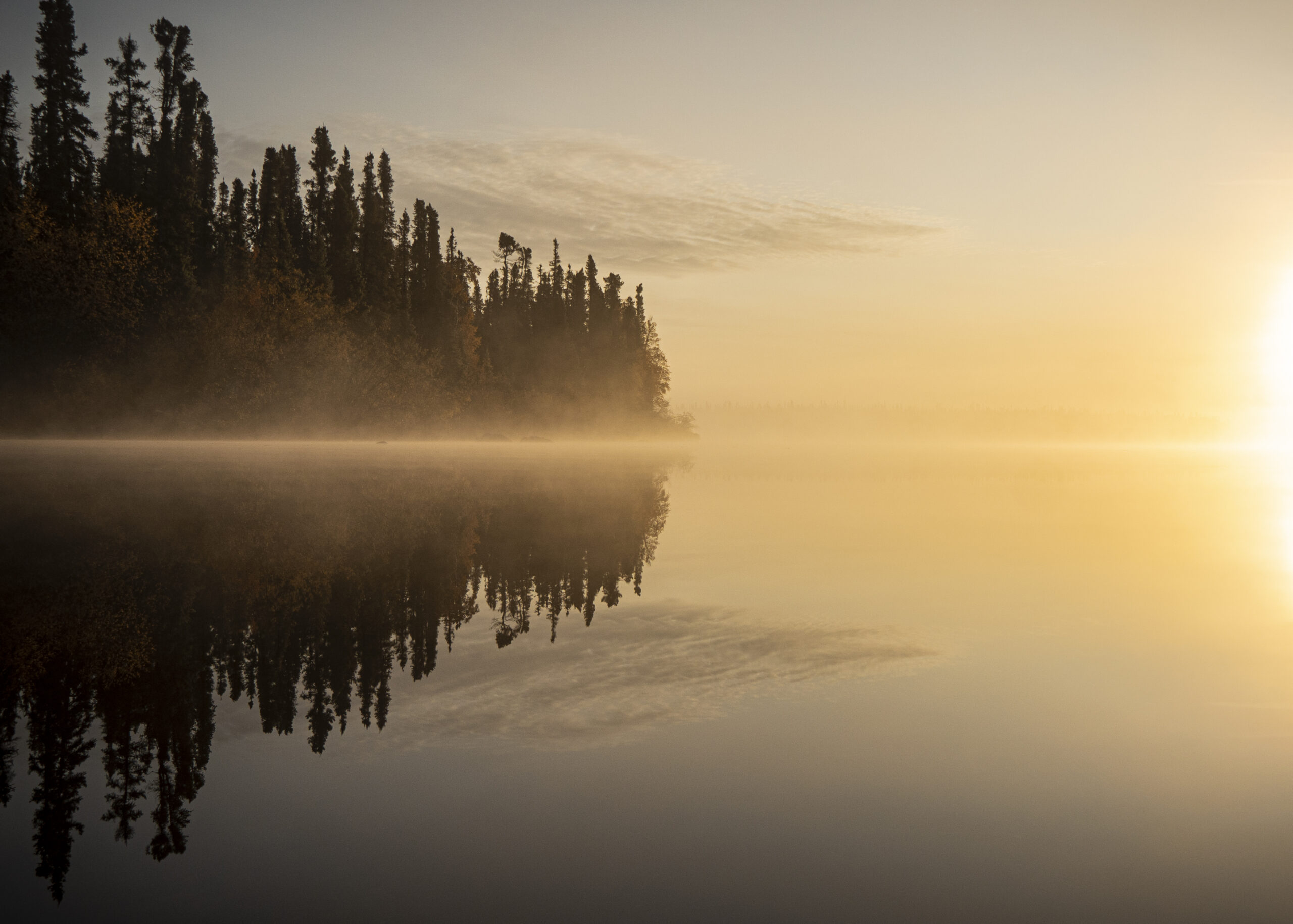 Reflection of trees in water at misty sunrise