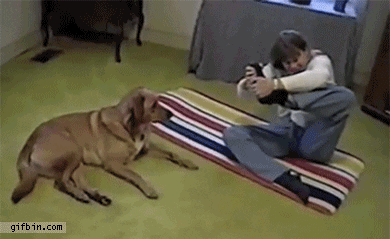 dog doing yoga with human