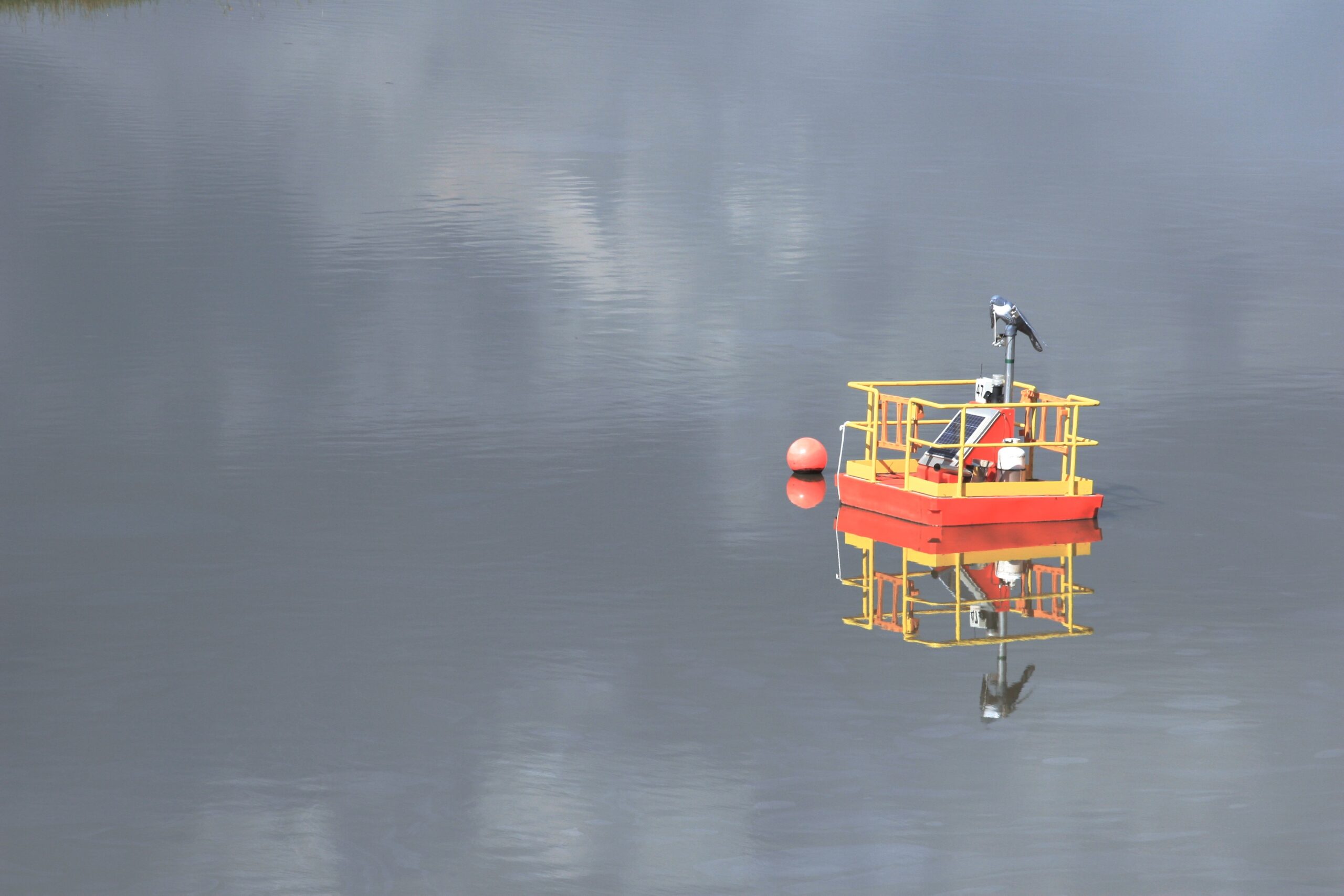 bird standing on wildlife deterrent in tailings pond