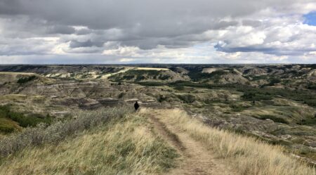 cliff landscape with dry grass