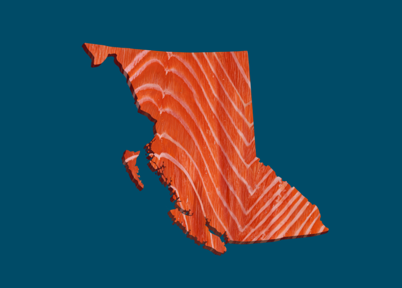 Map of B.C. in the texture and colour of salmon meat