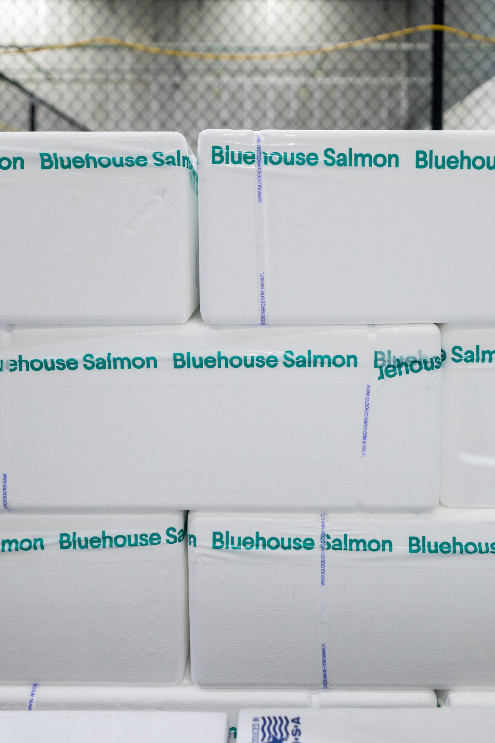 Bluehouse Salmon