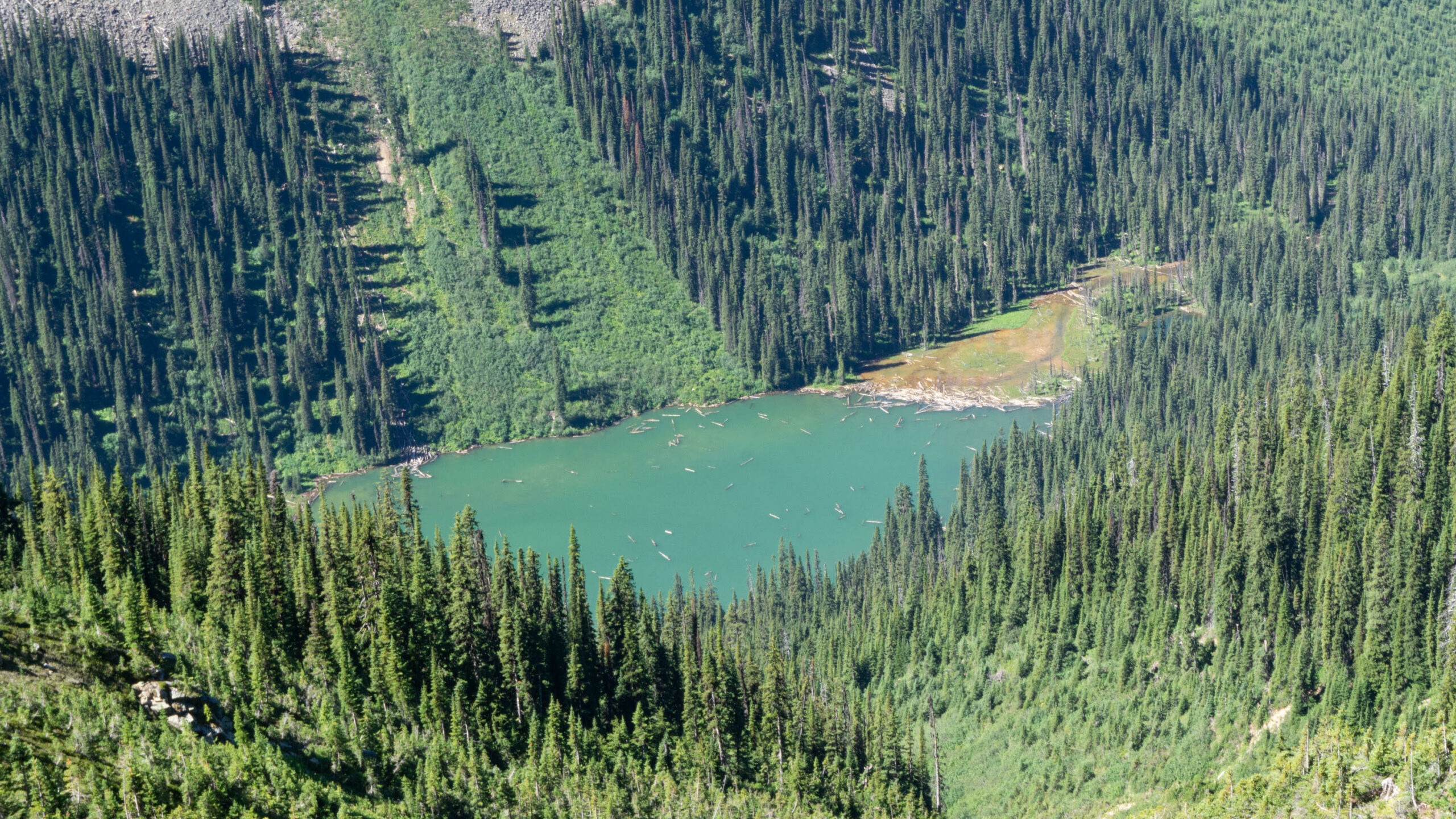 Upper Argonaut Creek, B.C.