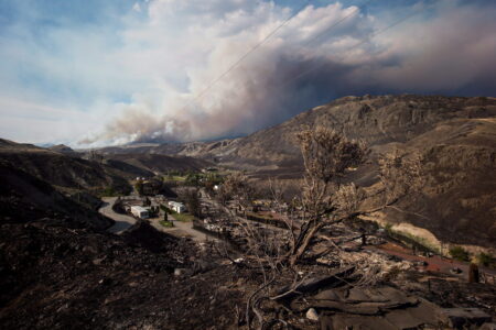 burnt aftermath of Elephant Hill fire